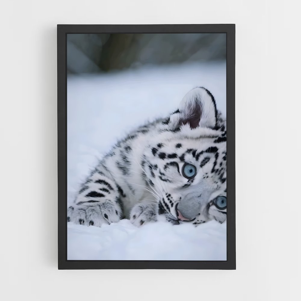 ap-snow leopard-7 cadre Noir