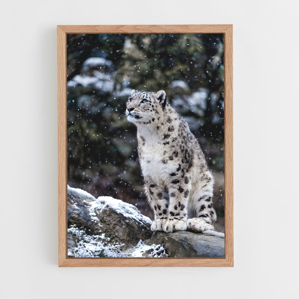 ap-snow leopard-8 cadre Bois clair