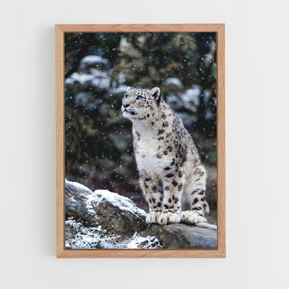 ap-snow leopard-8 cadre Bois clair