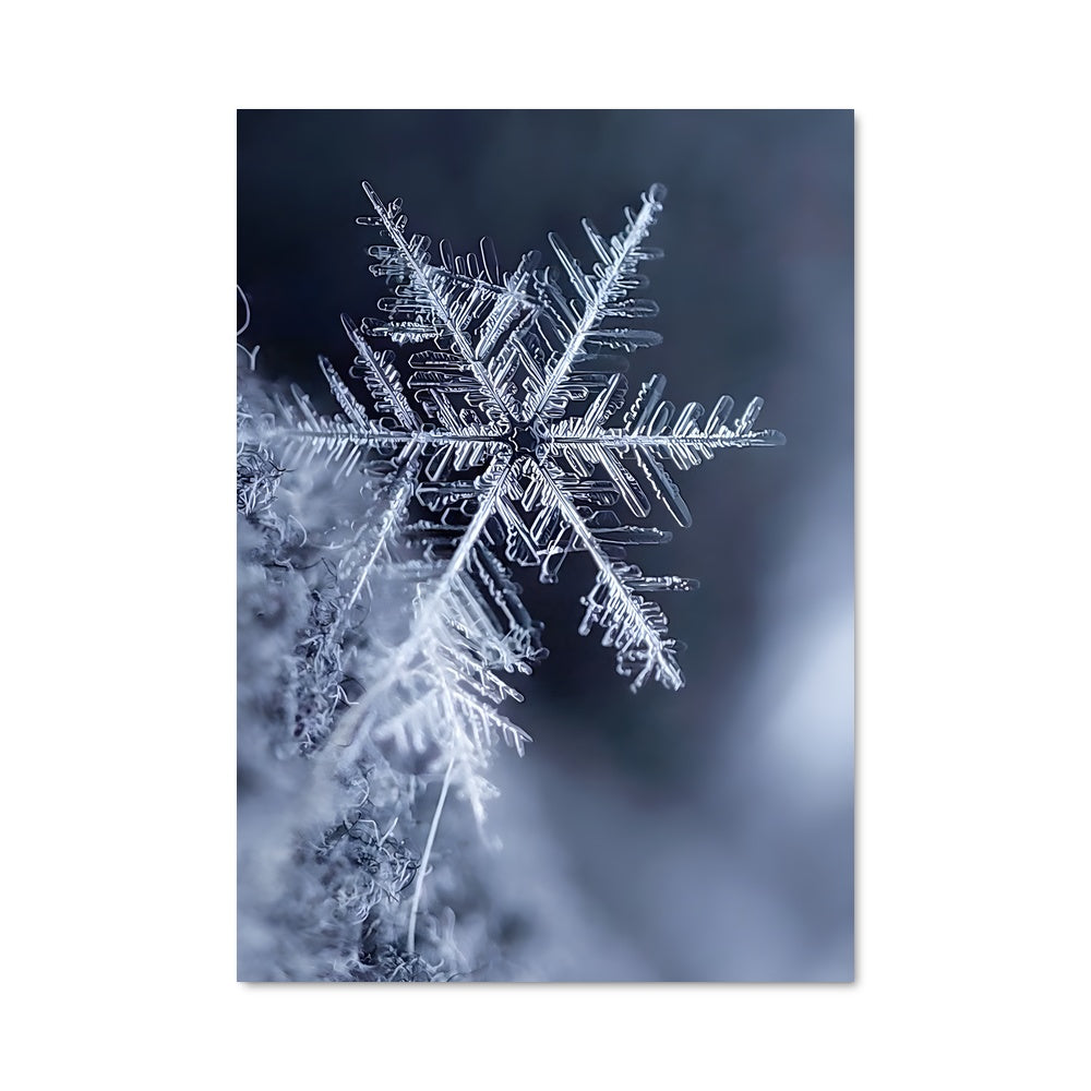 Poster Snowflake 97715
