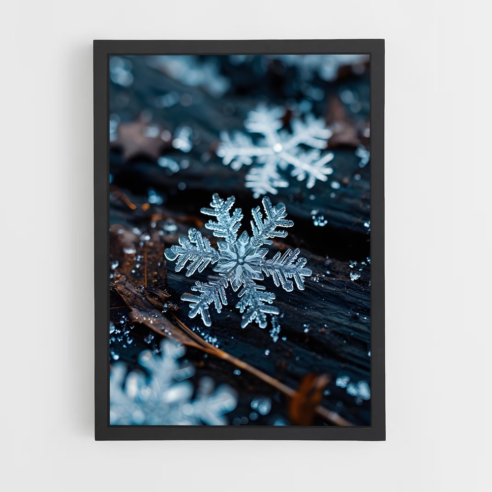 ap-snowflake-2 cadre Noir