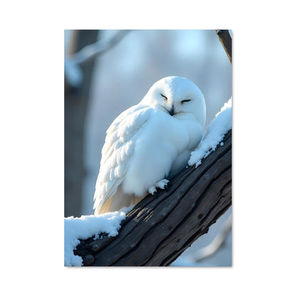 Poster Snowy owl 84387