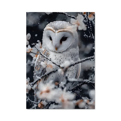 Poster Snowy owl 84394
