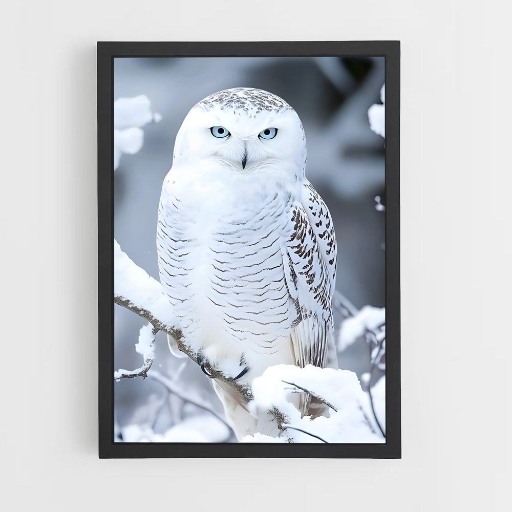 ap-snowy owl-1 cadre Noir