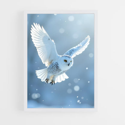 ap-snowy owl-2 cadre Blanc