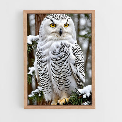 ap-snowy owl-5 cadre Bois clair