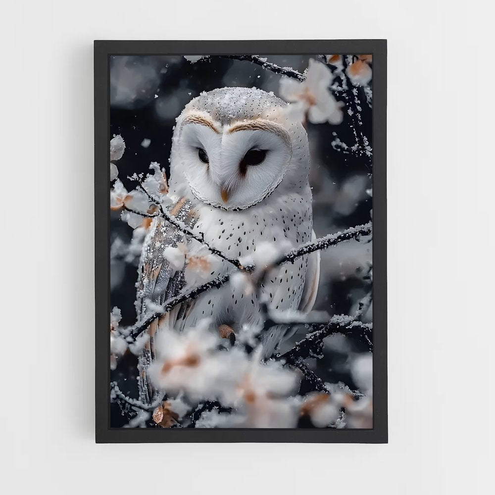 ap-snowy owl-9 cadre Noir