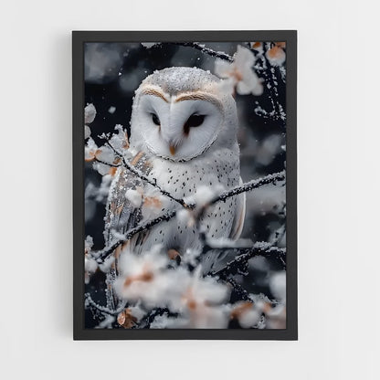 ap-snowy owl-9 cadre Noir