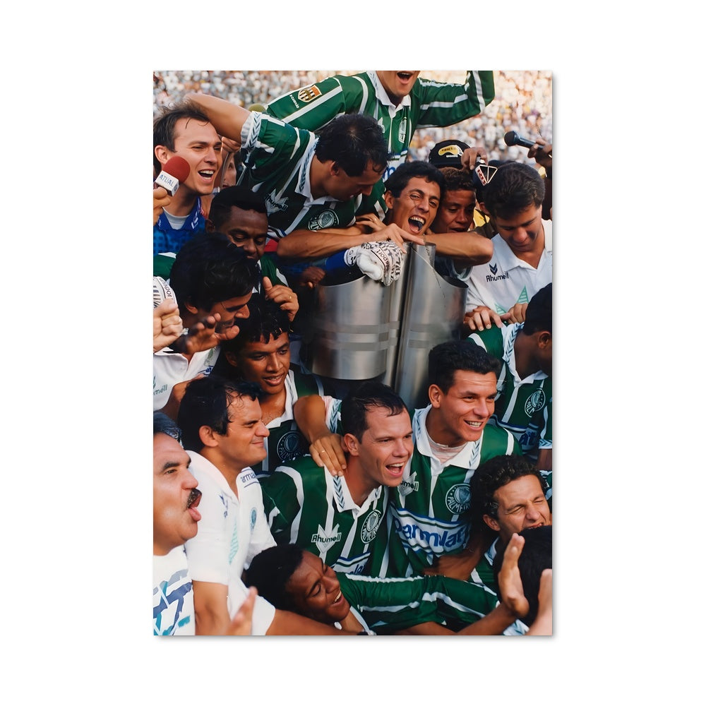 Poster Sociedade esportiva palmeiras 73037