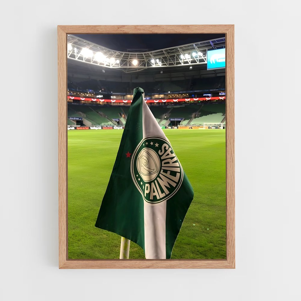 ap-sociedade esportiva palmeiras-2 cadre Bois clair