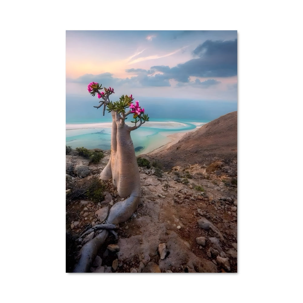 Poster L'Arbre aux Fleurs Roses