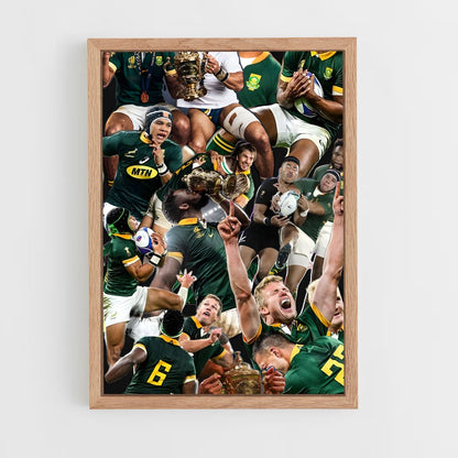 ap-south africa springboks-2 cadre Bois clair