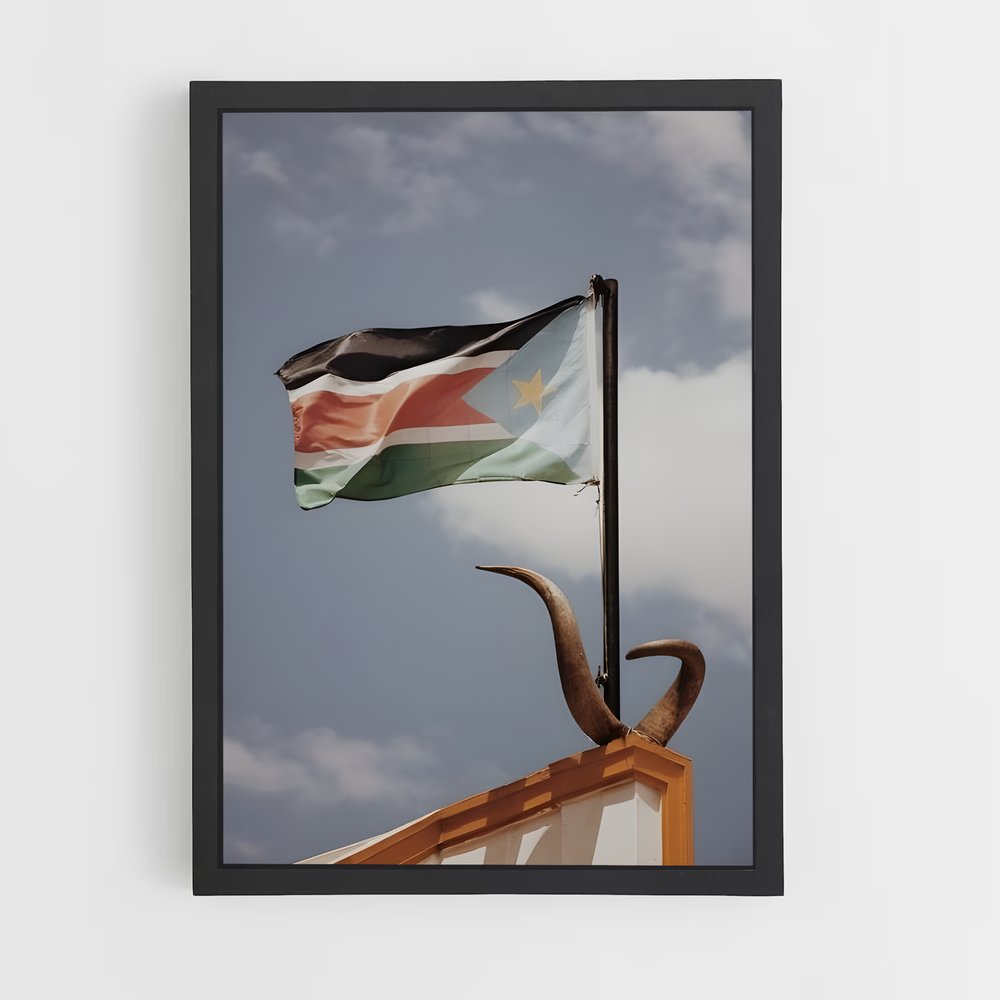 ap-south sudan flag-3 cadre Noir