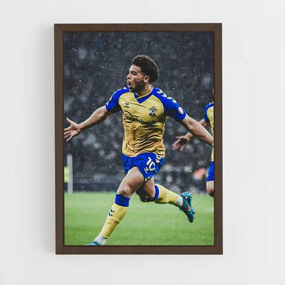 ap-southampton fc-10 cadre Bois foncé