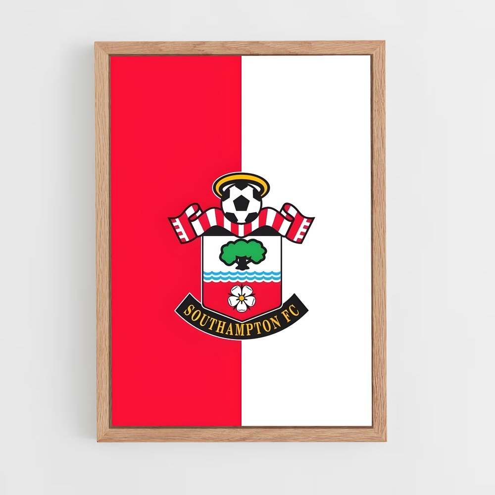 ap-southampton fc-6 cadre Bois clair