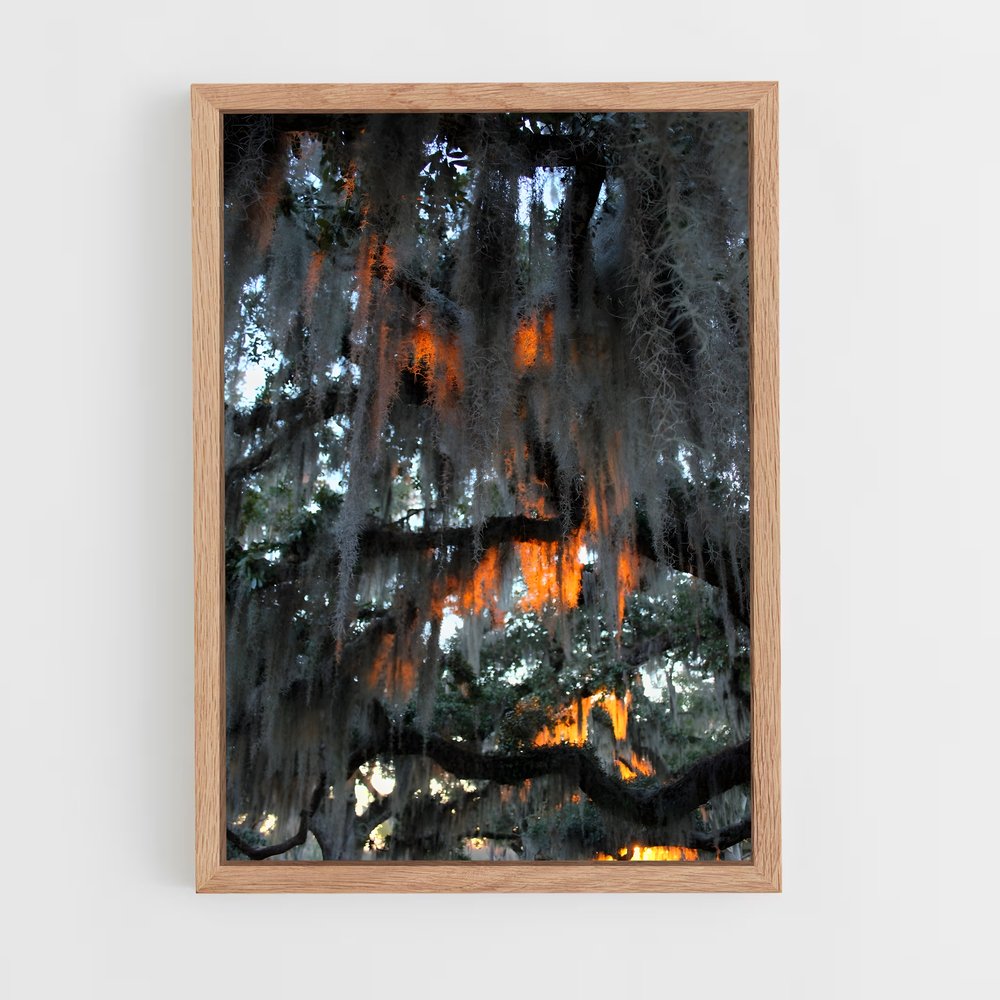 ap-spanish moss-6 cadre Bois clair