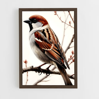 ap-sparrow-4 cadre Bois foncé