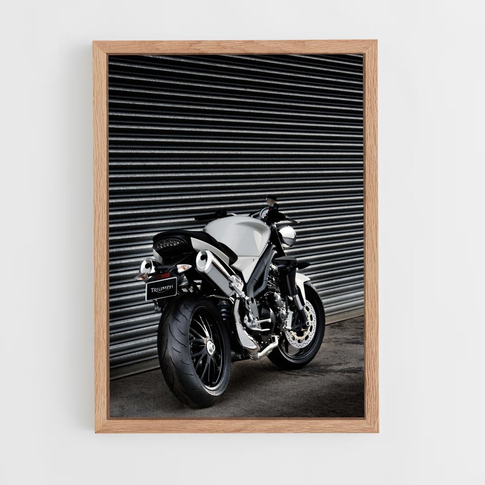ap-speed triple-2 cadre Bois clair