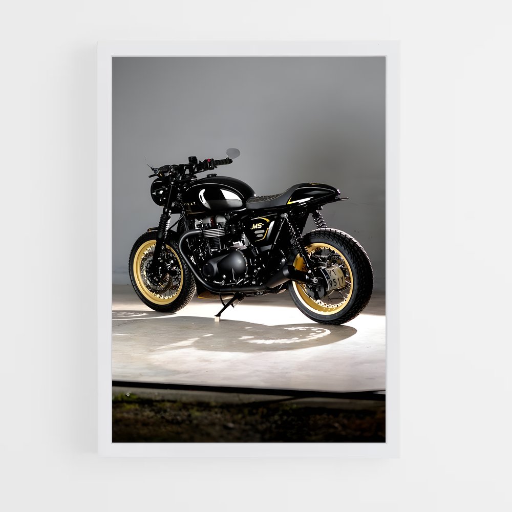ap-speed twin-2 cadre Blanc