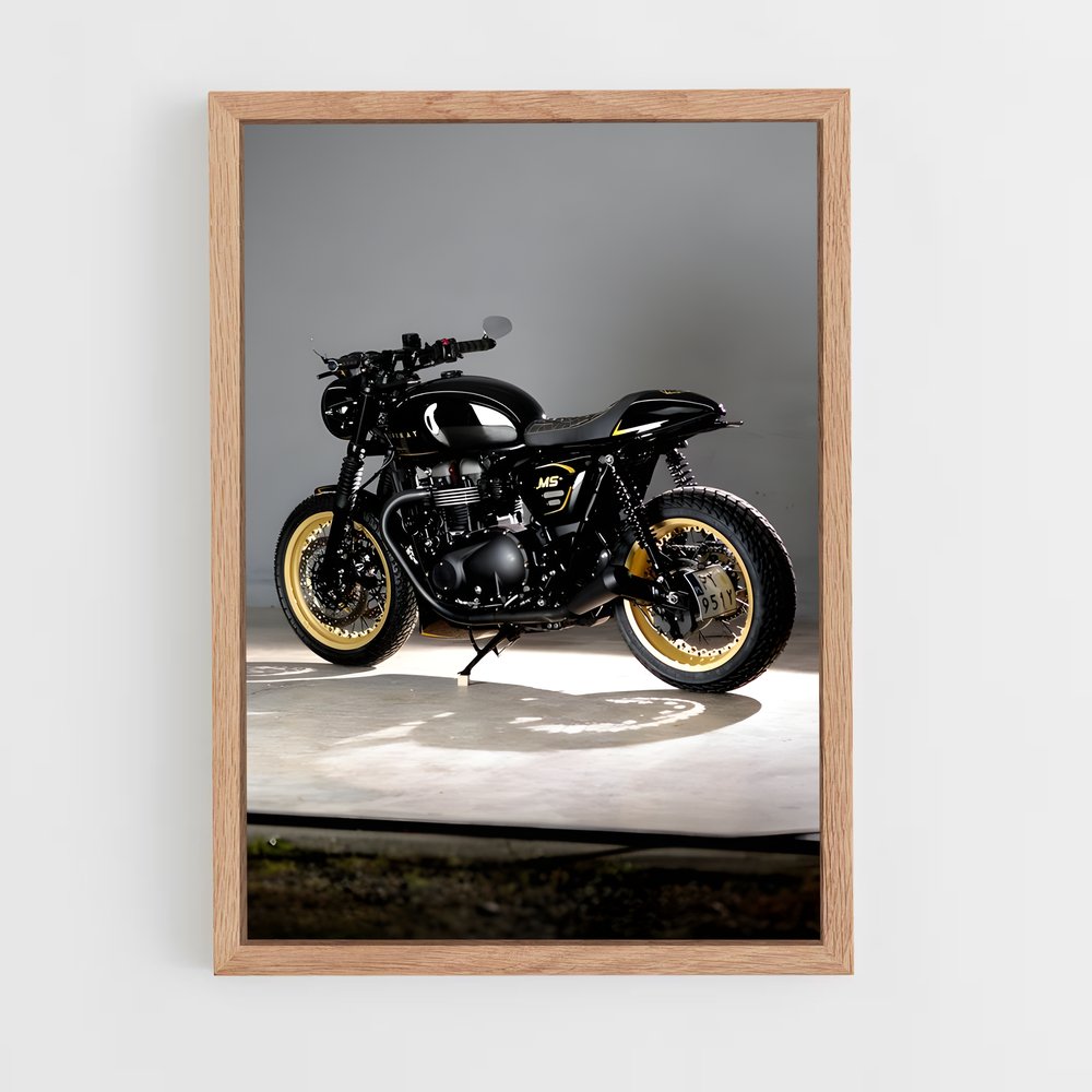 ap-speed twin-2 cadre Bois clair