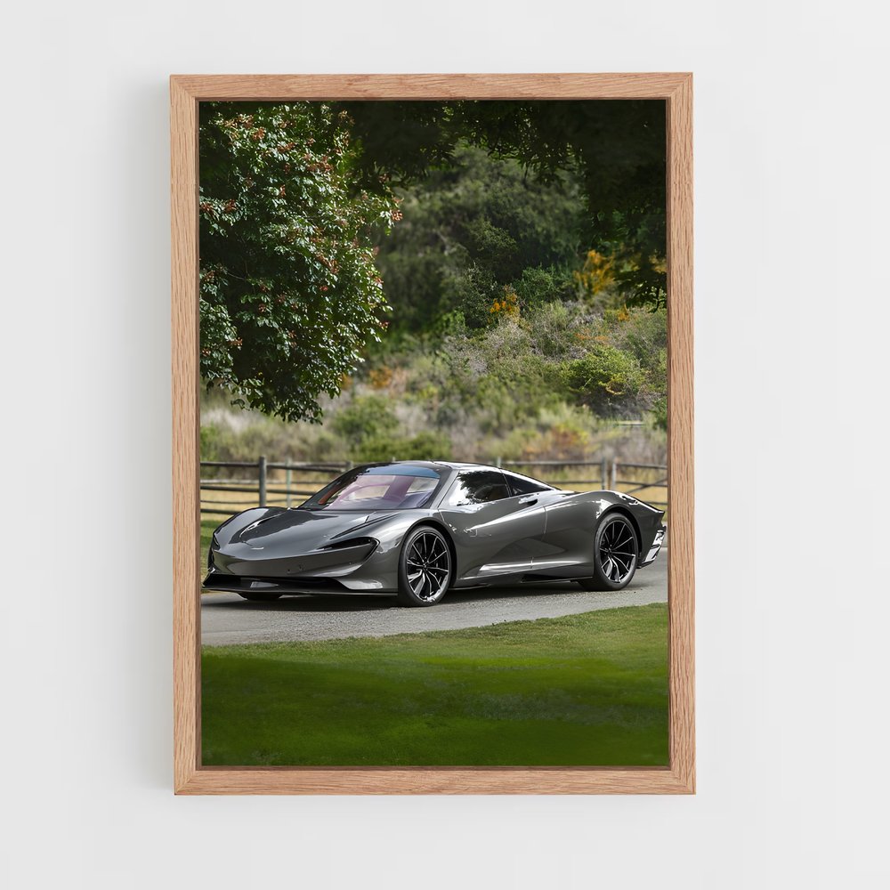 ap-speedtail-1 cadre Bois clair