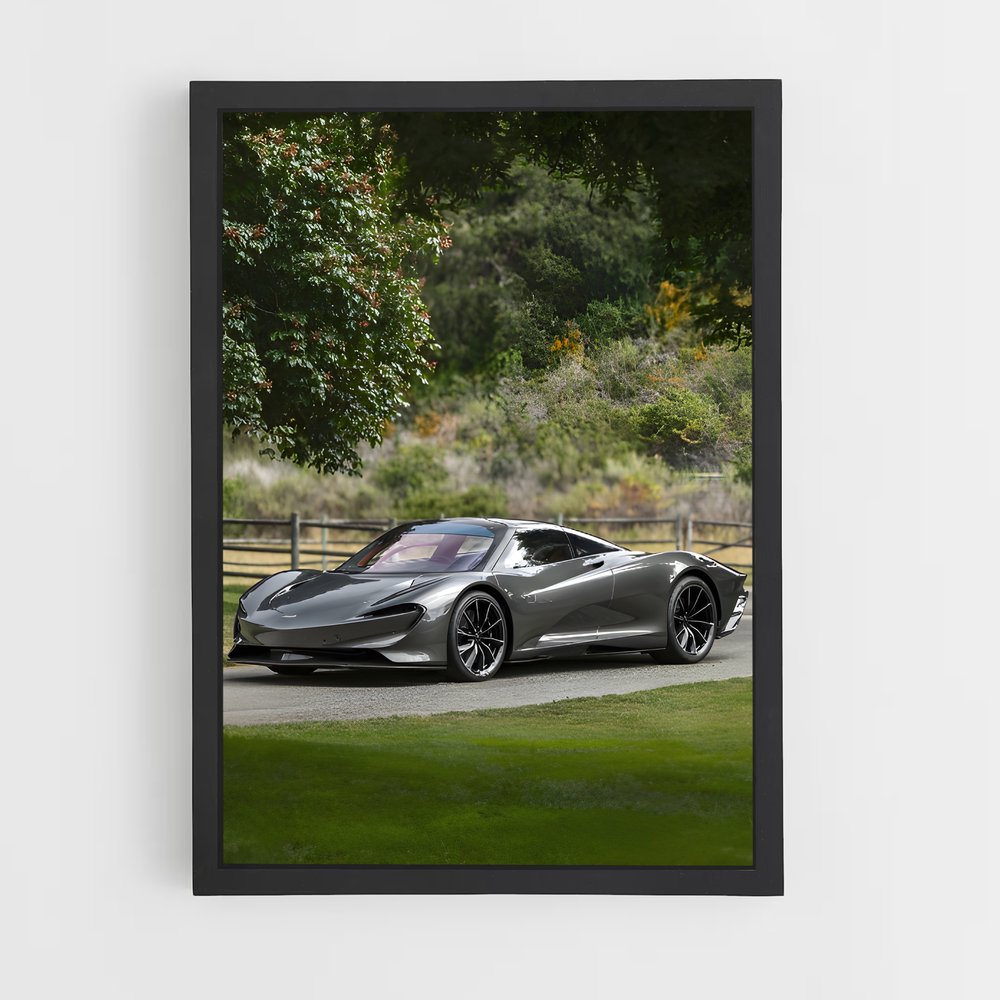 ap-speedtail-1 cadre Noir