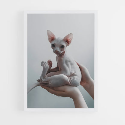 ap-sphynx-2 cadre Blanc