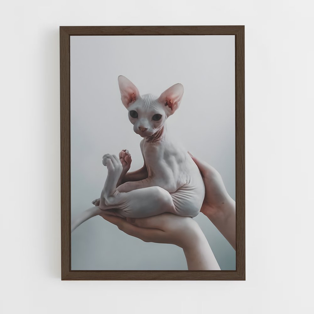 ap-sphynx-2 cadre Bois foncé