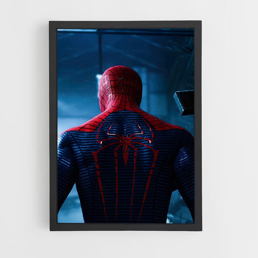 ap-spider man-6 cadre Noir
