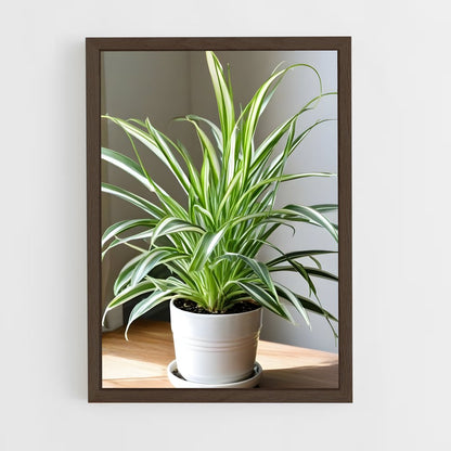 ap-spider plant-2 cadre Bois foncé