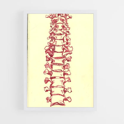 ap-spine-4 cadre Blanc