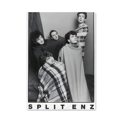 Poster Split enz 52576
