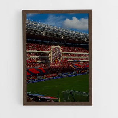 ap-sport club do recife-8 cadre Bois foncé
