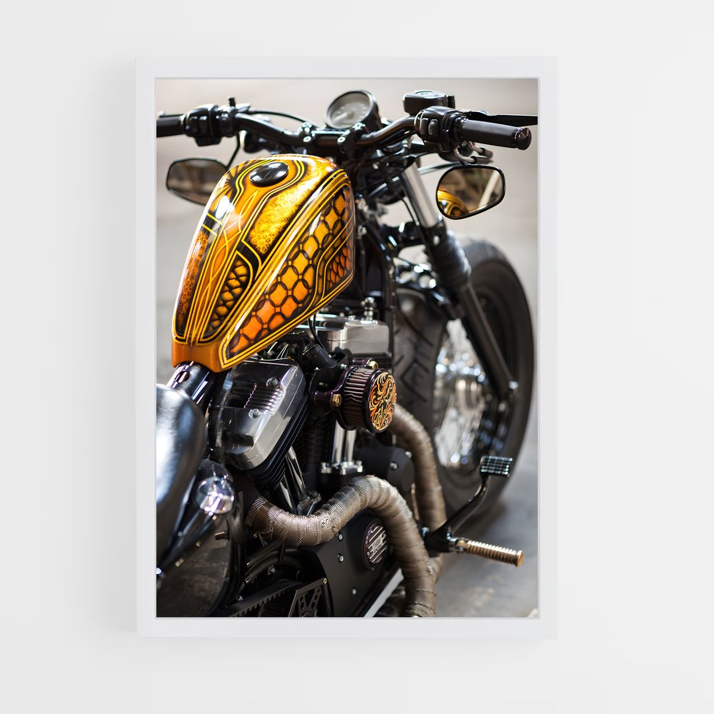 ap-sportster-3 cadre Blanc