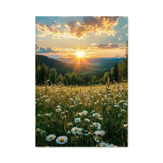 Poster Champ de Pâquerettes