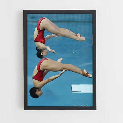 ap-springboard diving-3 cadre Noir