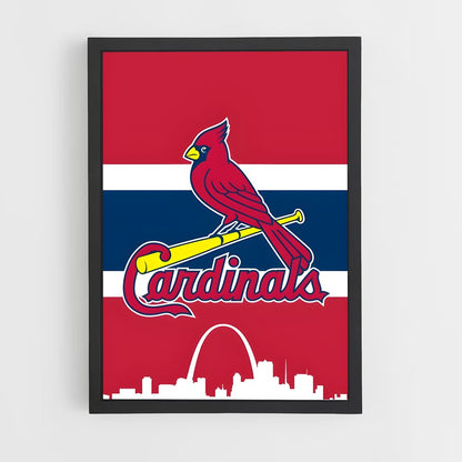 ap-st. louis cardinals-3 cadre Noir