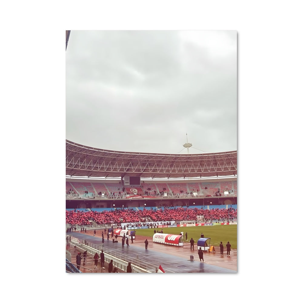 Poster Stade tunisien 73213