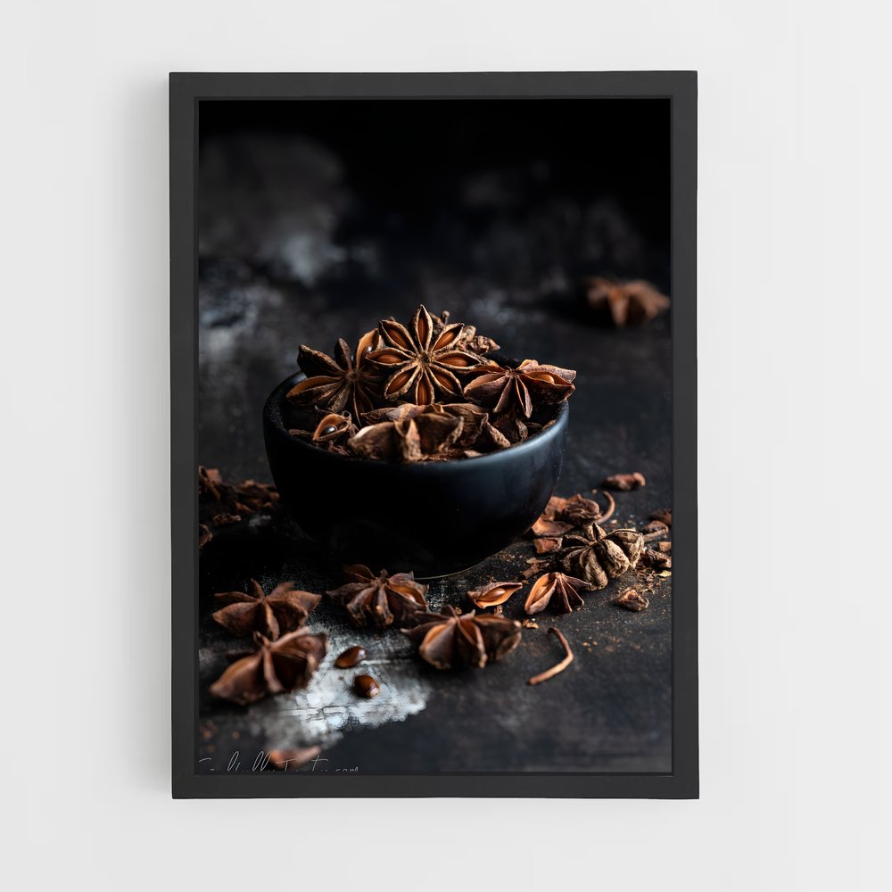 ap-star anise-3 cadre Noir
