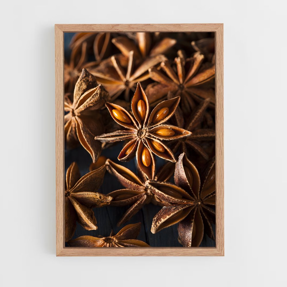 ap-star anise-6 cadre Bois clair