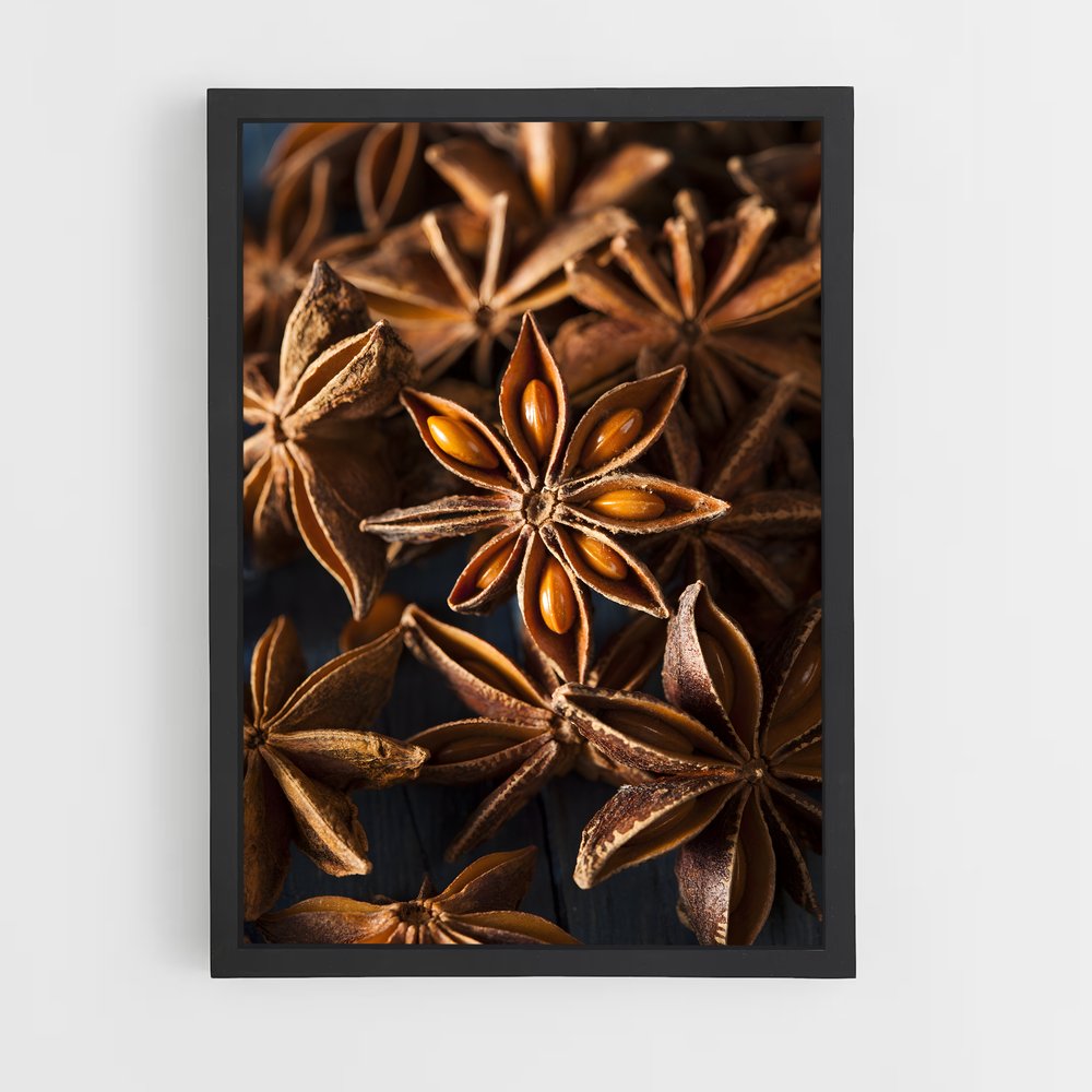 ap-star anise-6 cadre Noir