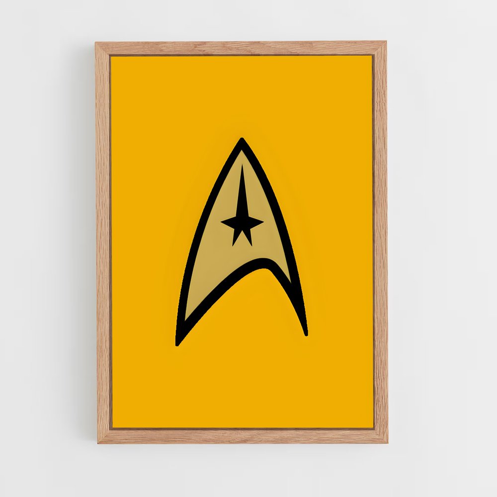 ap-starfleet logo-5 cadre Bois clair