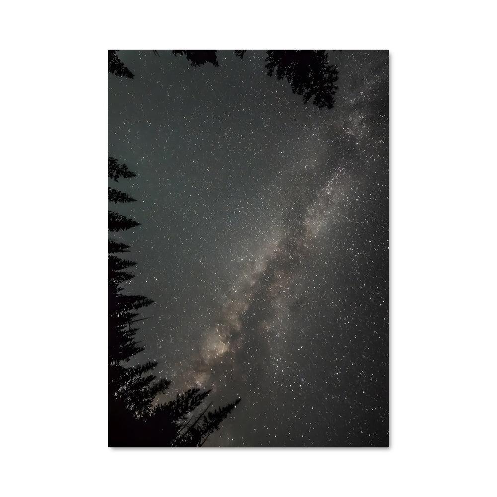 Poster Étoiles de Minuit