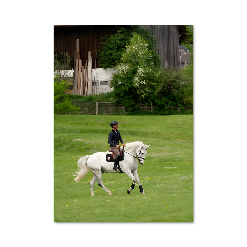Poster Steve guerdat 67424