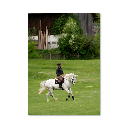 Poster Steve guerdat 67424