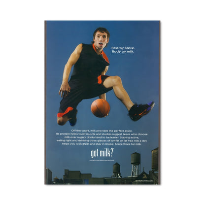 Poster Steve nash 60433