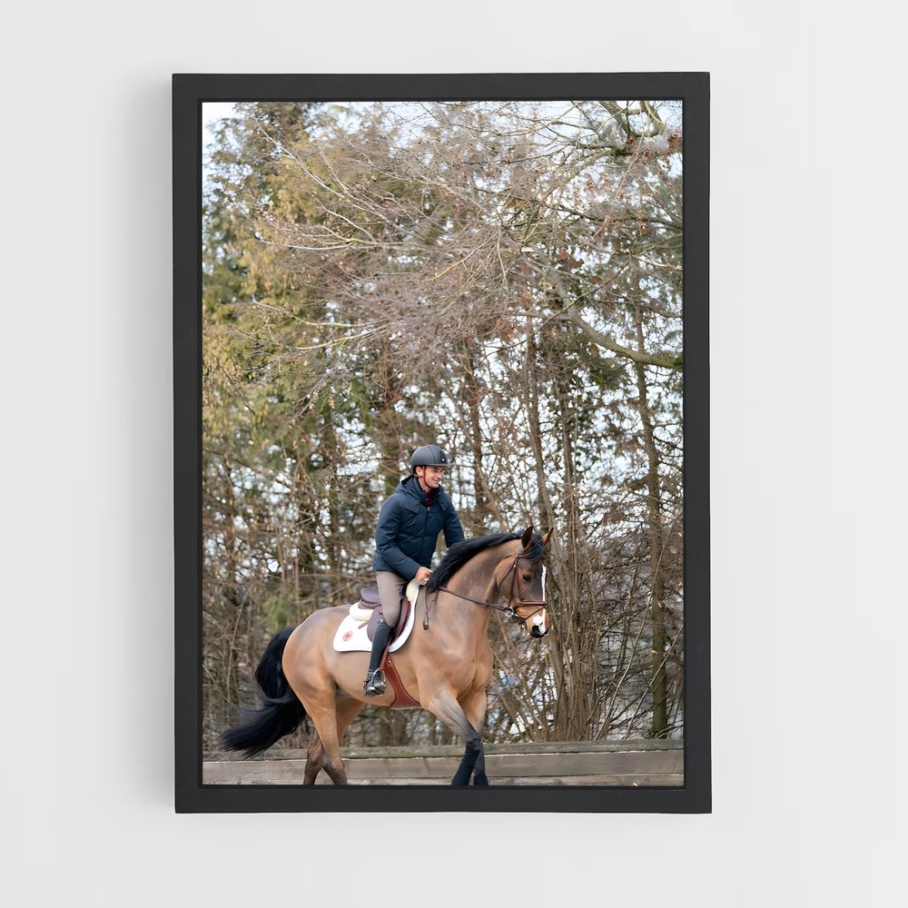 ap-steve guerdat-2 cadre Noir