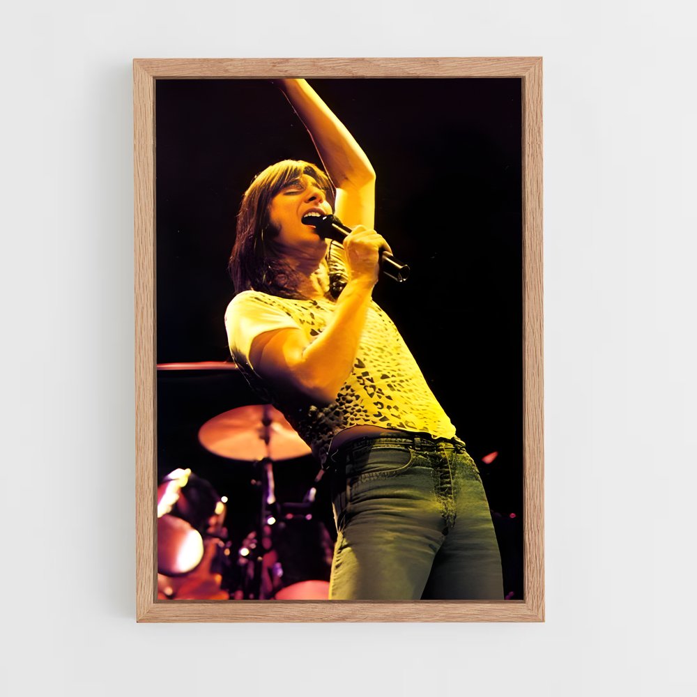 ap-steve perry-2 cadre Bois clair