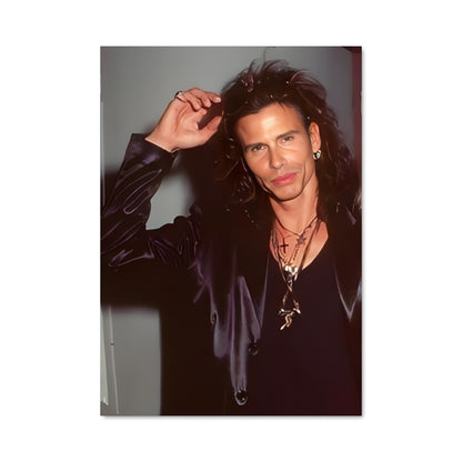 Poster Steven tyler 55337