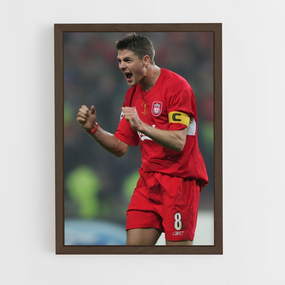 ap-steven gerrard-2 cadre Bois foncé